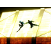 Cyberpunk Edgerunners-David & Lucy Falling Hand Hold Scene