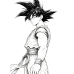Dragon Ball - Goku Golden Hour Grassland Anime Scene