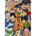 Dragon Ball - All Characters Group Gathering Anime Scene