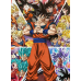 Dragon Ball - Goku All Transformations Evolution Scene