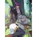 Frieren - Frieren & Fern Forest Resting Scene